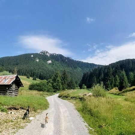 Drevenica Harmony Villa Ruzomberok Dış mekan fotoğraf