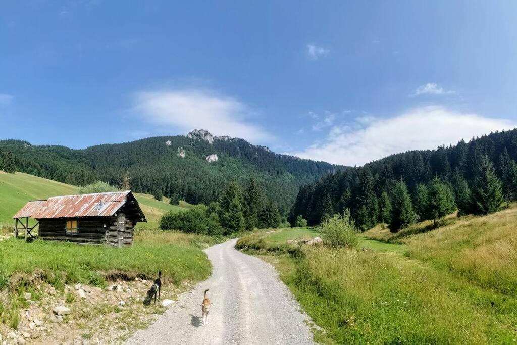 Drevenica Harmony Villa Ruzomberok Dış mekan fotoğraf