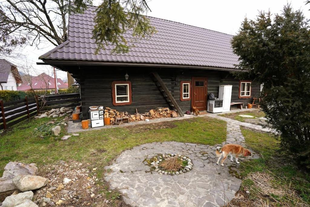 Drevenica Harmony Villa Ruzomberok Dış mekan fotoğraf